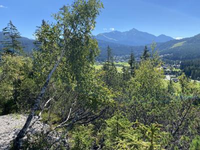 2400-tirol-rundweg-leutasch-ausblick.jpg