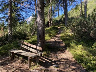 2401-tirol-rundweg-leutasch-hoehenweg.jpg