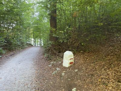 2552-ganz-tirol-vils-grenzstein.jpg