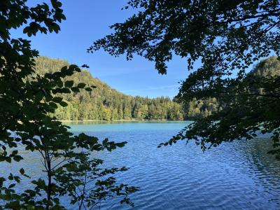 2555-ganz-tirol-vils-rundweg-alatsee.jpg