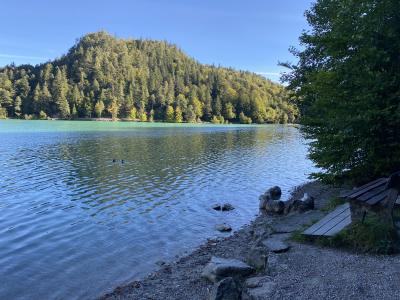 2556-ganz-tirol-vils-rundweg-alatsee.jpg