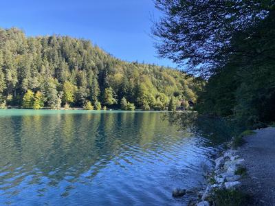 2558-ganz-tirol-vils-alatsee.jpg