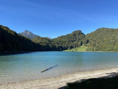 2562-ganz-tirol-vils-alatsee.jpg