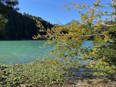 2563-ganz-tirol-vils-alatsee.jpg