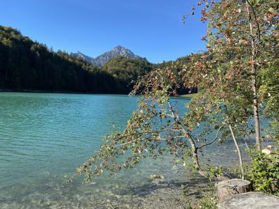 2564-ganz-tirol-vils-rundweg-alatsee.jpg