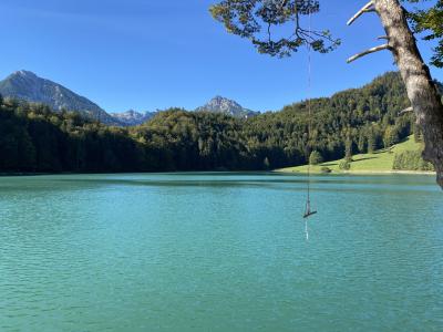 2565-ganz-tirol-vils-rundweg-alatsee.jpg