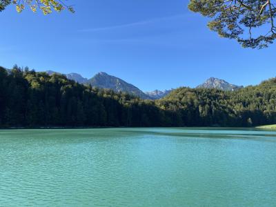 2566-ganz-tirol-vils-rundweg-alatsee.jpg