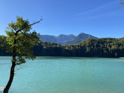2567-ganz-tirol-vils-rundweg-alatsee.jpg