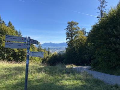 2572-ganz-tirol-vils-wegweiser-saloberalm.jpg