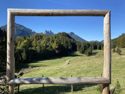 2580-ganz-tirol-vils-saloberalm-holzrahmen.jpg