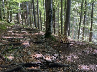 2585-ganz-tirol-vils-steig-ruine-vilsegg.jpg