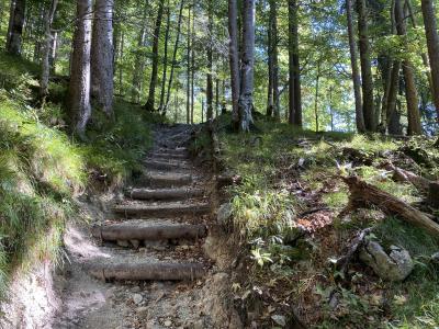 2586-ganz-tirol-vils-steig-ruine-vilsegg.jpg