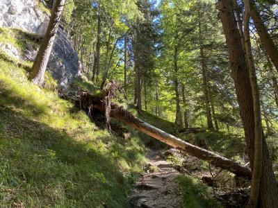 2587-ganz-tirol-vils-steig-ruine-vilsegg.jpg