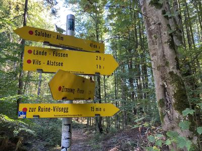 2588-ganz-tirol-vils-rundweg-wegweiser.jpg
