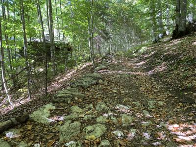 2589-ganz-tirol-vils-historischer-weg.jpg