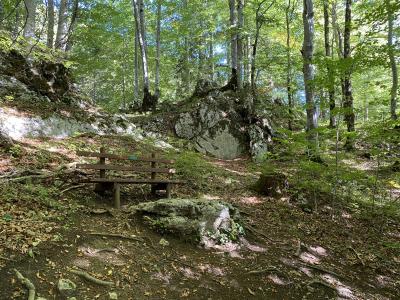 2591-ganz-tirol-vils-steig-ruine-vilsegg.jpg