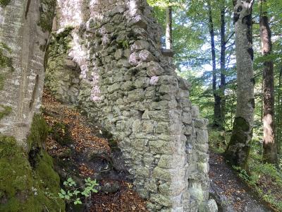 2593-ganz-tirol-vils-ruine-vilsegg.jpg