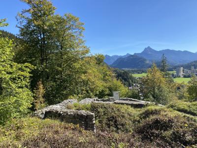 2599-ganz-tirol-vils-ruine-vilsegg.jpg