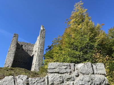 2603-ganz-tirol-vils-ruine-vilsegg.jpg