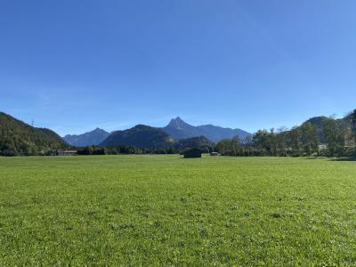 2608-ganz-tirol-vils-wiese.jpg