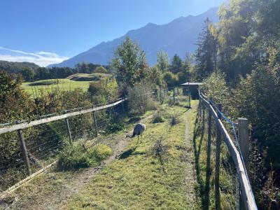 2686-ganz-tirol-untermieming-strauss.jpg
