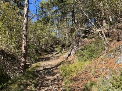 2691-ganz-tirol-stams-weg-der-extreme.jpg
