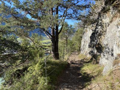 2698-ganz-tirol-locherboden-rundweg.jpg