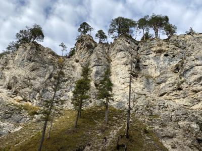 2797-ganz-tirol-huettlebachklamm-felsen.jpg