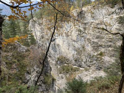 2808-ganz-tirol-huettlebachklamm-blick-von-oben.jpg