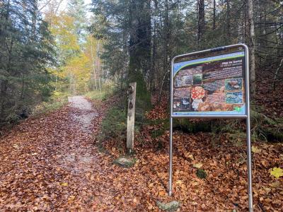 2817-ganz-tirol-huettlebachklamm-natur-erlebnisweg.jpg