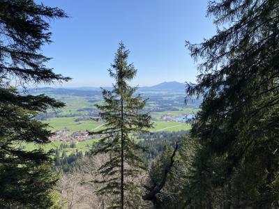 8252-ganz-tirol-falkenstein-aussicht-alpenvorland.jpg