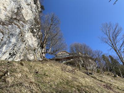 8258-ganz-tirol-weg-mariengrotte-unterhalb-falkenstein.jpg