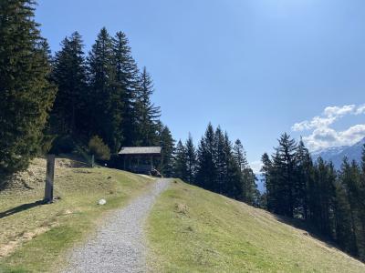8289-ganz-tirol-abstieg-burgruine-falkenstein-pfronten.jpg