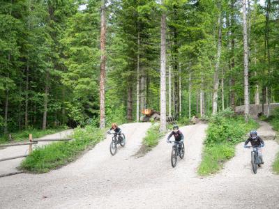biker_auf_den_trails_vom_bettelwurf_bikepark_hall-wattens.jpg
