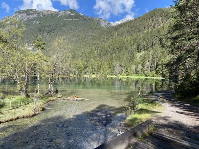 fernsteinsee-tirol-rundwanderweg-8731.jpg