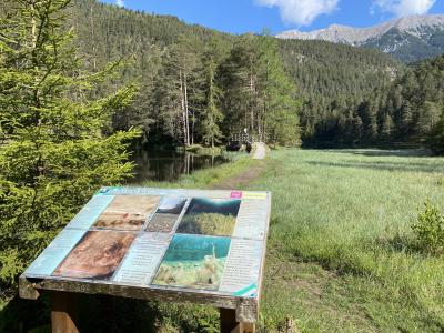 fernsteinsee-tirol-rundwanderweg-infotafel-leben-im-see-8740.jpg