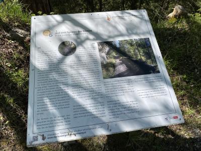 fernsteinsee-tirol-rundwanderweg-infotafel-roemerstrasse-8775.jpg