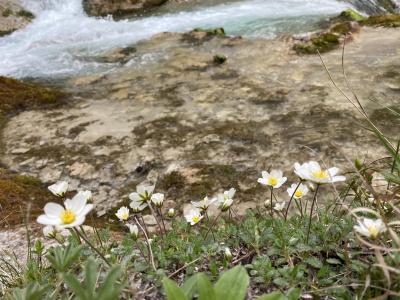 ganz-tirol-1356-scharnitz-gleirschklamm.jpg