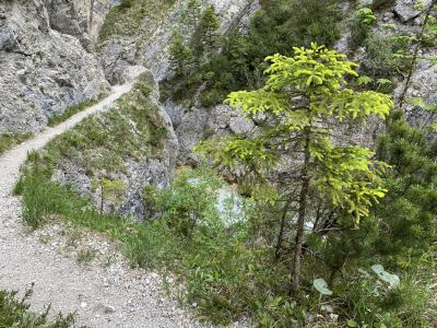 ganz-tirol-1385-scharnitz-gleirschklamm.jpg