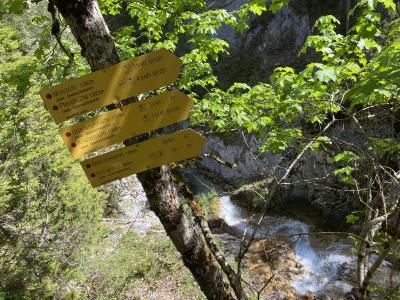 ganz-tirol-1415-scharnitz-gleirschklamm.jpg