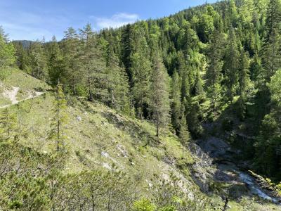 ganz-tirol-1428-scharnitz-ende-gleirschklamm.jpg