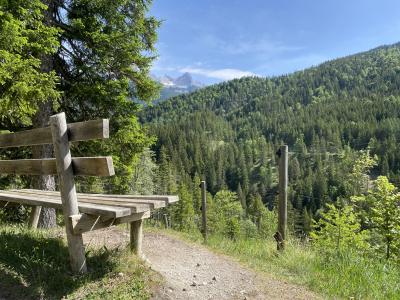 ganz-tirol-1435-scharnitz-hochwaldweg.jpg
