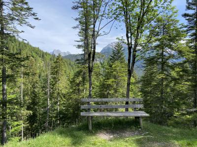 ganz-tirol-1437-scharnitz-hochwaldweg.jpg