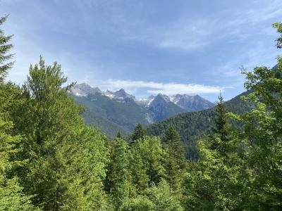 ganz-tirol-1438-scharnitz-hochwaldweg.jpg