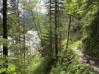 ganz-tirol-1455-scharnitz-isarsteig.jpg