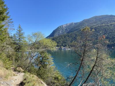 ganz-tirol-achensee-wandern-1186.jpg