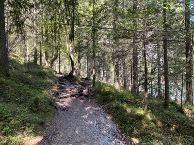 ganz-tirol-achensee-wandern-1213.jpg