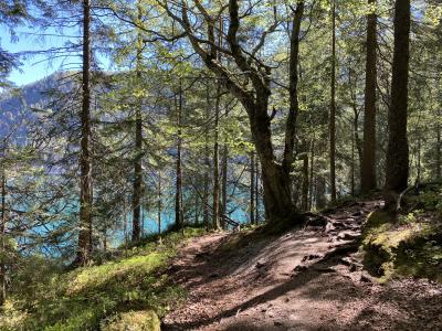 ganz-tirol-achensee-wandern-1214.jpg