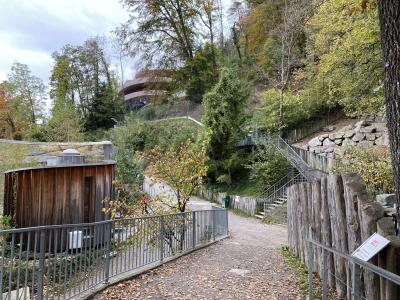 ganz-tirol-alpenzoo-innsbruck-7356.jpg