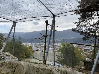 ganz-tirol-alpenzoo-innsbruck-wildvogel-voliere-7352.jpg